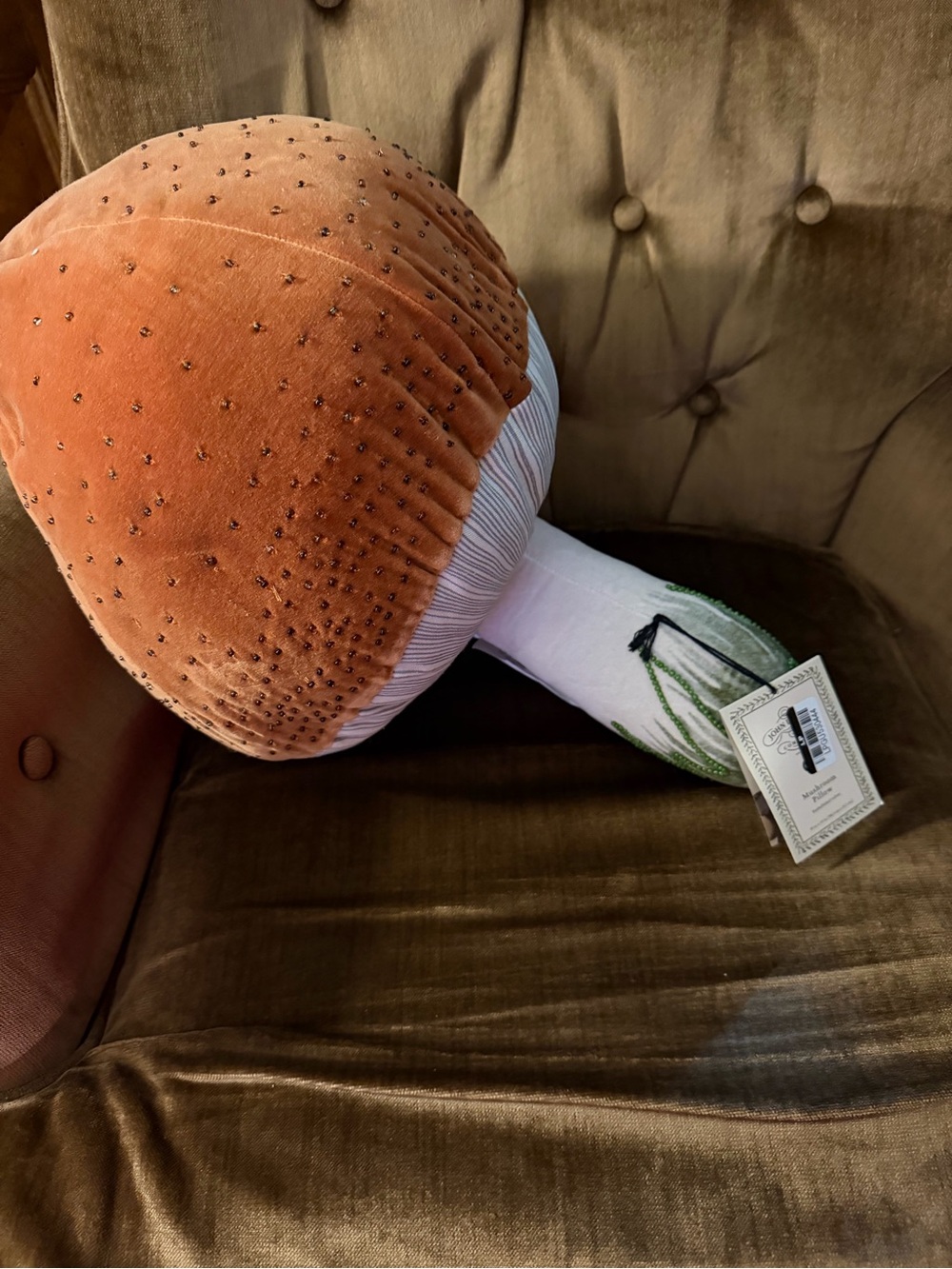 NWT John Darian beaded plush mushroom pillow.
